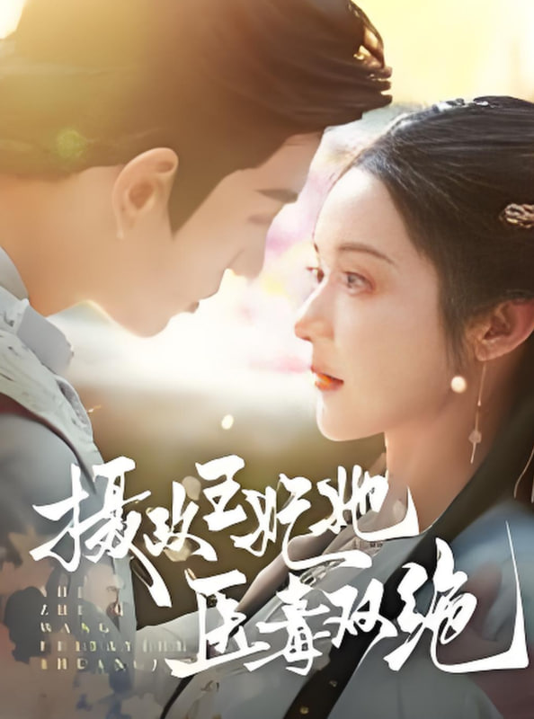 摄政王妃她医毒双绝(全集)