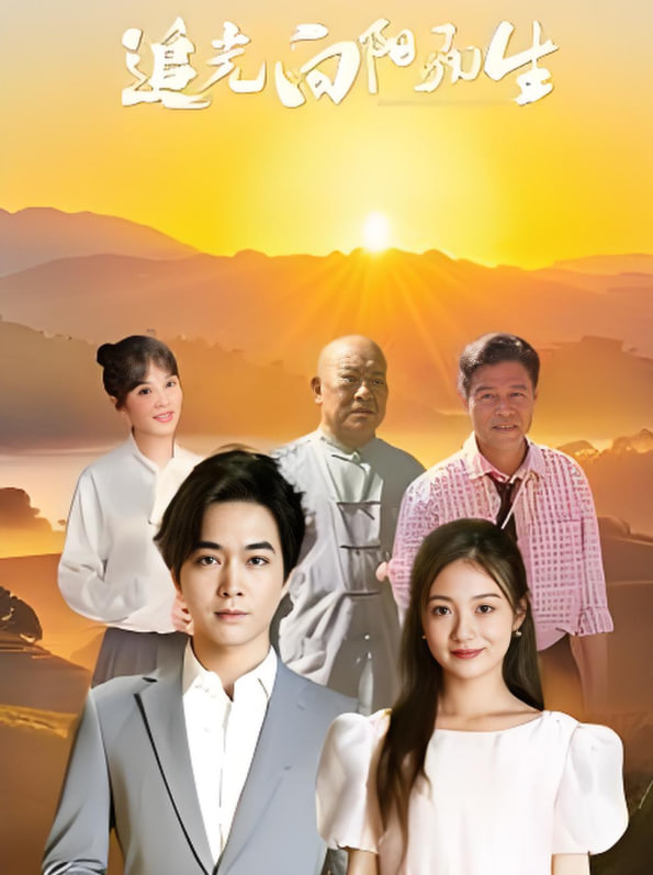 追光向阳而生(全集)