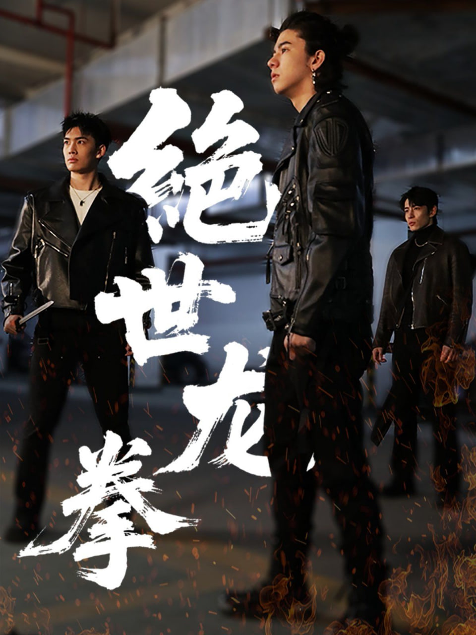 绝世龙拳(全集)