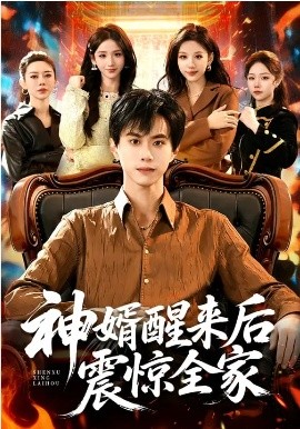神婿醒来后震惊全家(全集)