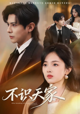 不识天家(全集)